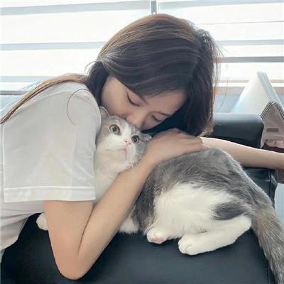 老虎的故事