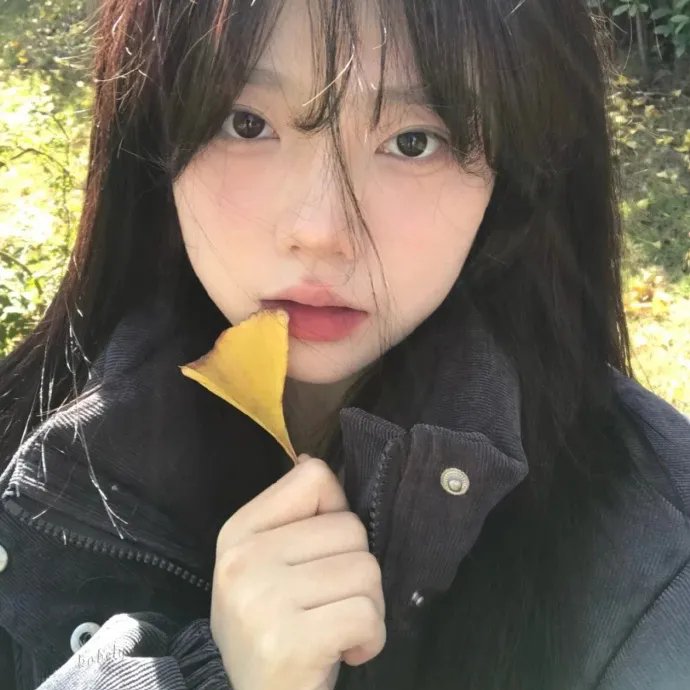 樱花队离散