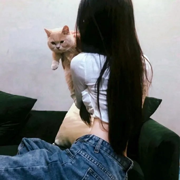 班会